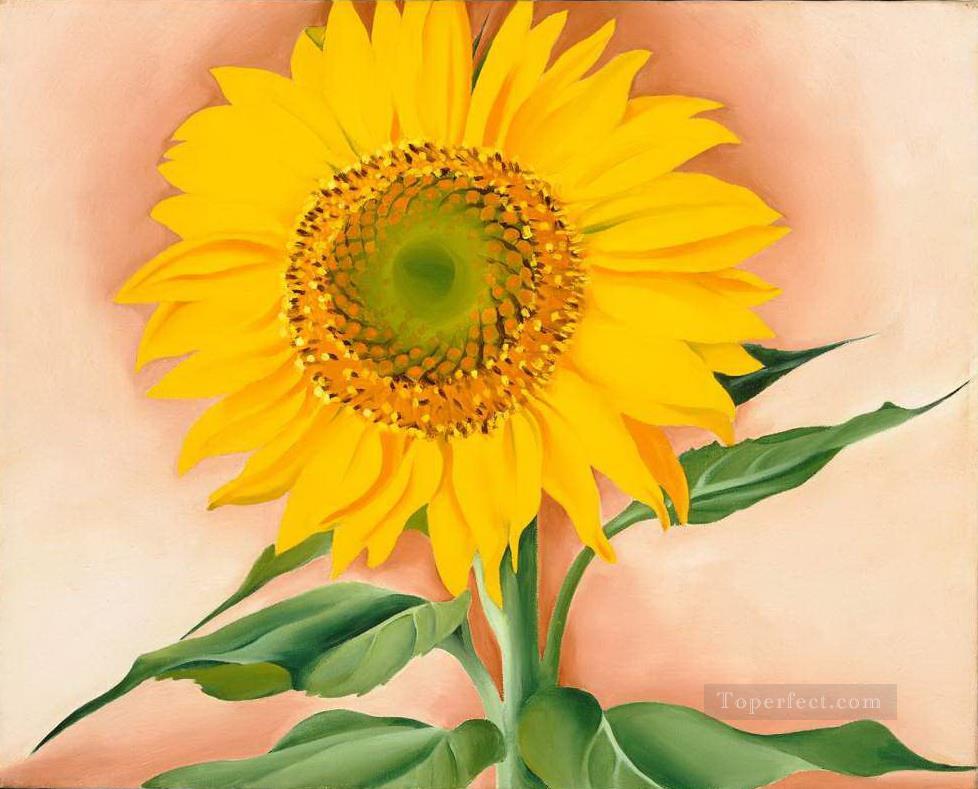A Sunflower from Maggie Georgia Okeeffe floral decoration Oil Paintings